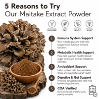 Extrait de champignon Maitake naturel en poudre, polysaccharides, extrait végétal, fabrication sous marque privée Qidan
