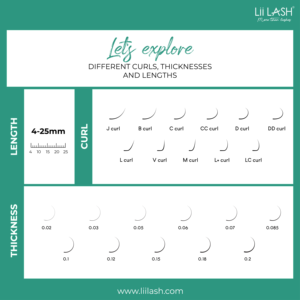 LiiLash W cils m curl haut de gamme pbt cils brillants en forme de W cils de trèfle volume russe W cils en gros - Product Image 5