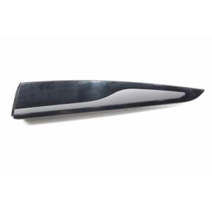 Moldura de Puerta Trasera Izquierda RENAULT Clio Serie IV 828772096R (12>19) - Product Image 1