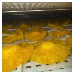 Ananas séché doux vietnamien avec processus de séchage contrôlé, idéal pour les supermarchés, les importateurs à la recherche d'un approvisionnement stable - Product Image 5