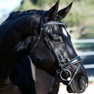 Brida de caballo de cuero genuino de alta calidad - Product Image 6