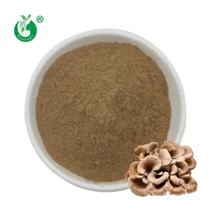 Pincredit fornitore Bulk polisaccaride 30% Grifola Frondosa Maitake estratto di funghi