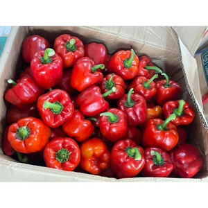 พริกหยวกหลากสี,เกรดพรีเมี่ยมแช่แข็งสำหรับเครื่องเทศ Ms Hana - Product Image 1