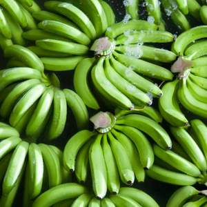 Bananes Cavendish de haute qualité, fruits frais, fruits et légumes à bon prix | Approvisionnement en gros | - Product Image 2