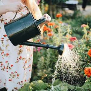Compact and Durable Metal <b>Water</b> <b>Can</b> With Large Spout Rustproof Finished and Easy Carrying Handle for Daily Watering - Product Image 2