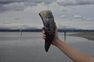 Cuerno de buey Real de gran tamaño vaca buey vikingo beber cuerno Simple personalizado forma Natural pulido cerveza vino cuerno - Product Image 3