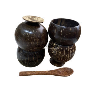 Vaso de plástico hecho a mano con cáscara de coco ecológico para batidos y jugos de uso diario y regalos de Tradebyd - Product Image 1