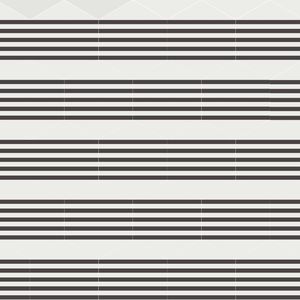 Producción a gran escala para exportaciones ininterrumpidas de baldosas de cemento - Product Image 3