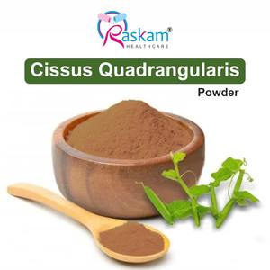 Proveedor directo de fábrica de polvo de proteína natural Cissus Quadrangularis Servicio OEM/ODM para adultos y niños - Product Image 2