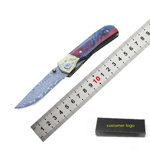 Cuchillo Compacto de Hoja Fija de Damasco con Mango de Madera, Personalizable OEM para Uso en la Cocina, de Pakistán - Product Image 1