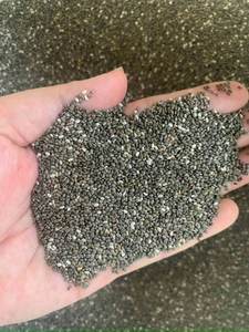 Semillas de Chía Crudas de Primera Calidad para la Industria Alimentaria, Precio al por Mayor, Semillas de Chía Negras Secas, Alto Contenido de Fibra, Empaque a Granel, Vietnam - Product Image 6