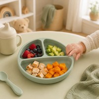 Maßgefertigter Silikon-Saugnapfteller mit Rutschfestem Rand für Babys und Kinder Private Form OEM ODM Entwicklung Individuelle Größe