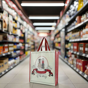 Sacs tissés en polypropylène - Product Image 1