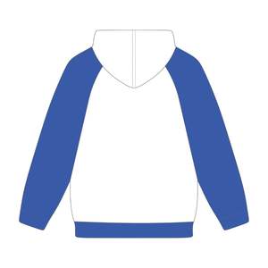 Sudadera con Capucha de Manga Raglán con Bordado Chenille de la Hermandad Griega Zeta Phi Beta, Estilo Universitario, para Graduados de HBCU - Product Image 3