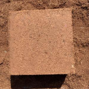 Tourbe de coco naturelle pour l'agriculture, fibres organiques de tourbe de coco pour la croissance des plantes et la fertilisation des jardins, 100 % sûre - Product Image 4