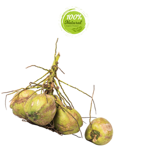 Produit agricole d'hydratation naturelle à la noix de coco fraîche vietnamienne de qualité supérieure - Product Image 5