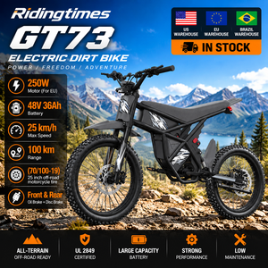 จักรยานเสือภูเขาไฟฟ้า Ridingtimes GT73 E-MTB ขนาด 25 นิ้ว ยางสำหรับทางวิบาก - Product Image 1