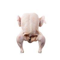Pollo congelado empacado para satisfacer la demanda mayorista de cadenas de restaurantes y distribuidores de importación global Oferta especial