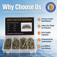 Nouveau kit de 50 attaches de sécurité en acier allié galvanisé doré (3/16"+1/4"+5/16"+7/16") pour bateaux et yachts marins
