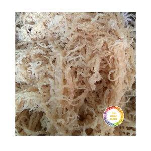 Musgo Marino Seco de Alta Calidad de Vietnam, Estilo Premium, Precio Económico - Product Image 1