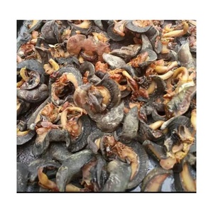 Artichauts Séchés Salés et Aigres IQF Multi-Couleurs de Qualité Supérieure, 25kg, Emballage en Sac, France - Product Image 6