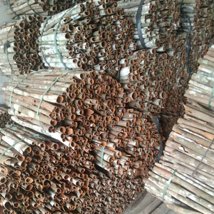 Exportation directe de tubes de cannelle de qualité supérieure du Vietnam pour une utilisation agricole - Product Image 3