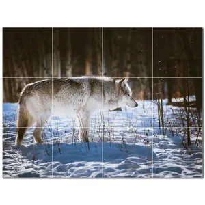 Mural de pared de azulejos de cerámica Wolf PT501238 24 \ "W X 18 \" H Juego de 12 azulejos de pared de cerámica 6x6 - Product Image 1