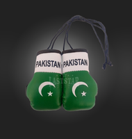 Mini-gants de boxe personnalisés en cuir PU avec motif drapeau pakistanais pour accessoires de voiture - Durables et personnalisables