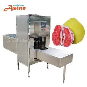 304 stainless steel fruit mango pineapple grapefruit peeling machine high quality watermelon peeling machine