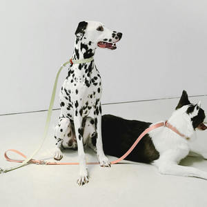 Correa SUMMA Simple Moderna y Cómoda para Perros, 1.2M, Material TPU Ecológico y Duradero, Remache Sólido, Impermeable y Lavable - Product Image 1