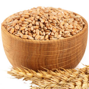 Meilleur prix du marché Grain de blé dur biologique Texture dure naturelle pour usage alimentaire Approvisionnement direct en usine - Product Image 2