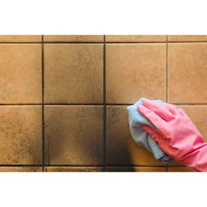 Desengrasante Universal Terminator 750 ml - Product Image 4