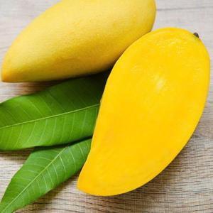 Half Frozen Mango Slices IQF Vietnam Processed for Frozen Mango Slices - Product Image 1