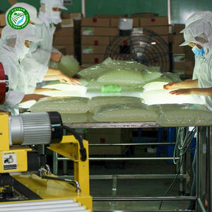 Gel de Aloe Vera Orgánico de Alta Calidad, Fresco y Congelado en Rodajas, 100% Aloe Vera Congelado - Product Image 3