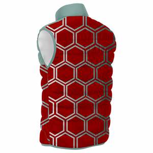 Chaqueta de Plumón para Hombre, de Alta Calidad, Abrigada, con Cuello Alto, Personalizada con Sublimación, Cortavientos y Térmica - Product Image 2