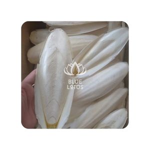 Hueso de Sepia Natural para Afilar el Pico - Product Image 1