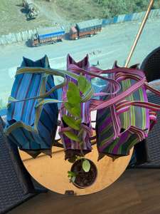 Sacs à provisions rayés PP tissés réutilisables écologiques Métier à tisser en plastique polypropylène nylon recyclé durable fabriqué en Inde-en vrac - Product Image 4