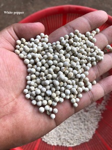 Especias auténticas de Vietnam Pimienta blanca secada al sol de grado premium de materias primas procesadas naturalmente de Vietnam - Product Image 5