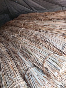 Canne en rotin naturel pour l'artisanat : Matière première de qualité supérieure du Vietnam pour la création de meubles exceptionnels et durables - Product Image 3