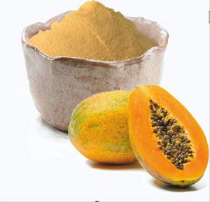 Cheapest Price Pure Papaya Fruit <b>Powder</b> Best Price Pawpaw Extract <b>Powder</b> Export From Vietnam - Product Image 1