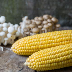 Maíz seco de alta calidad para alimentación animal, maíz amarillo, maíz de calidad estándar - Product Image 5