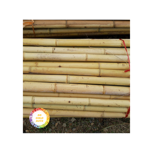 หลอดไม้ไผ่คุณภาพสูง-ไม้ไผ่เวียดนามสำหรับตกแต่งผนังที่มีเอกลักษณ์-ของแท้และยืดหยุ่น - Product Image 5