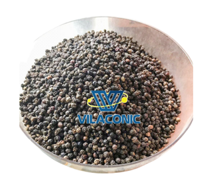 ซัพพลายเออร์ชั้นนําของเวียดนาม พริกไทยดํา - พริกไทยดํา 500 g/l, 550 g/l, 600 g/l เกรดเครื่องทําความสะอาด Faq - Ms Sophie +84969732947 - Product Image 2