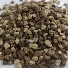 Semi di 200 per il magazzino invernale Araka semi di pisello biologico con regalo - Product Image 5