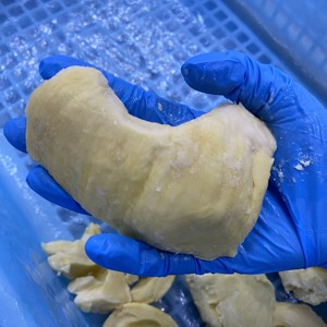 Frozen Durian Premium Thai durian, flash-frozen at peak ripeness to <strong>lock</strong> in its rich, creamy flavor. - Product Image 3