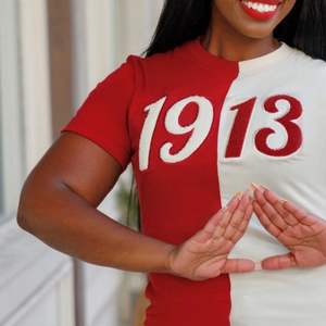 Media mitad 1913 DST Chenille bordado camiseta Premium algodón hermandad ropa Delta griego ropa Maroon Neutral dos tonos camiseta - Product Image 2