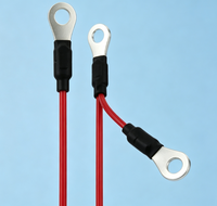 Cable de Carga Alternativo HB451748 HIT para HIT Cij, Repuestos