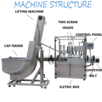 Machine de capsulage entièrement automatique pour bouteilles en verre avec alimentateur de bouchons twist-off