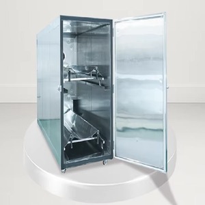 Cámara Mortuoria de Suministro Directo de Fábrica SI Surgical para Hospitales o Clínicas y Morgues, Disponible para Suministro Mundial - Product Image 4