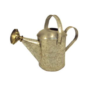 Bec en laiton galvanisé de qualité supérieure arrosoir forme ronde bidon d'eau en gros concepteur créatif fait à la main meilleur arrosoir - Product Image 4